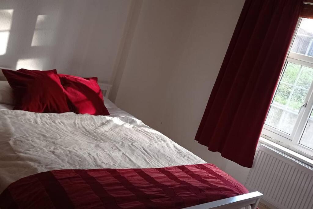 Sunny And Spacious Flat In Nw3 伦敦 外观 照片